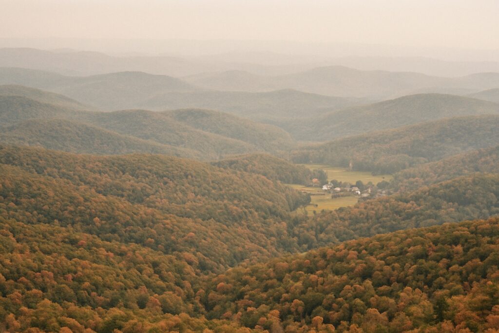 Blick von oben über ein Meer bewaldeter Hügel im Herbst mit einer Rodungsinsel im Tal