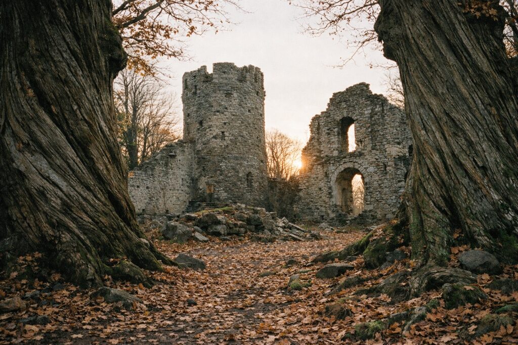 Alte Esskastanien mit gedrehter Rinde und dahinter Turmstumpf und Mauer einer Burgruine, Herbstlaub