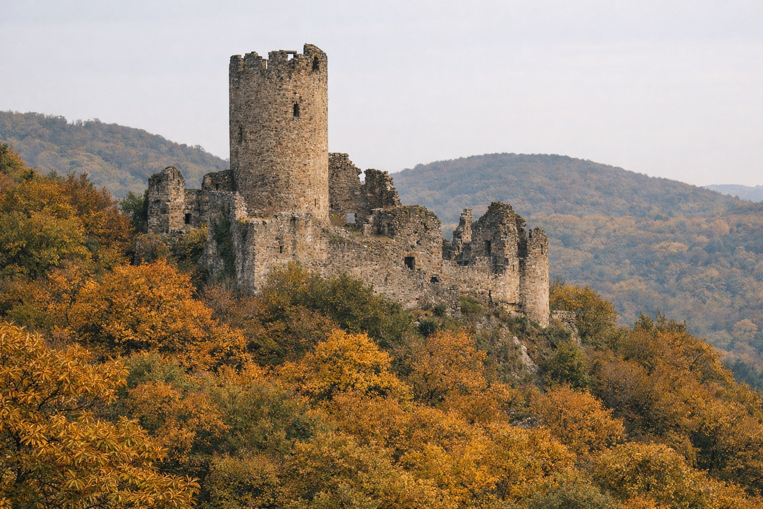 Burgruine mit hohem Rundturm über herbstlichem Kastanienwald am Hang