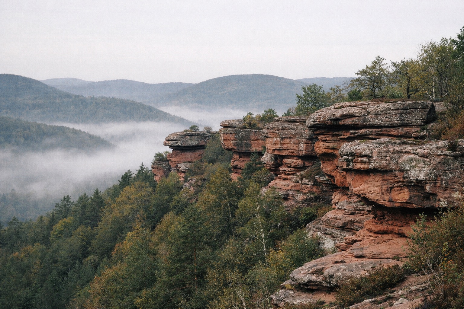 Rote Sandsteinfelsen in Reihe über einem Waldtal mit Nebel am Morgen