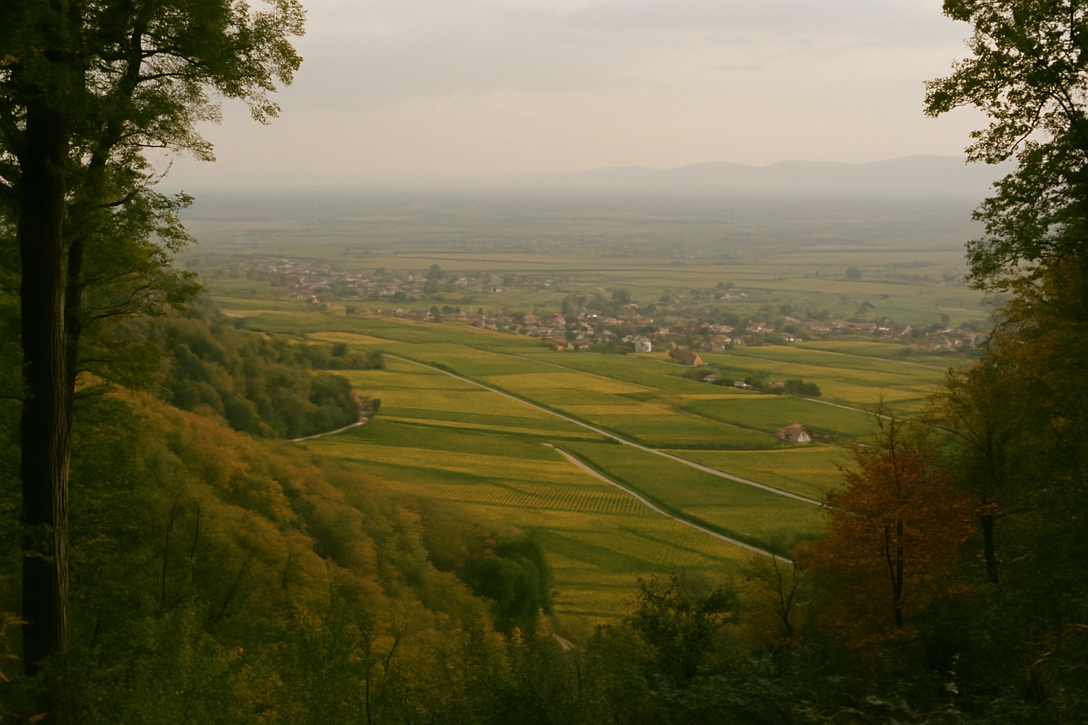 Blick vom bewaldeten Haardtrand über Weinberge und Dörfer in die flache Rheinebene im Herbst